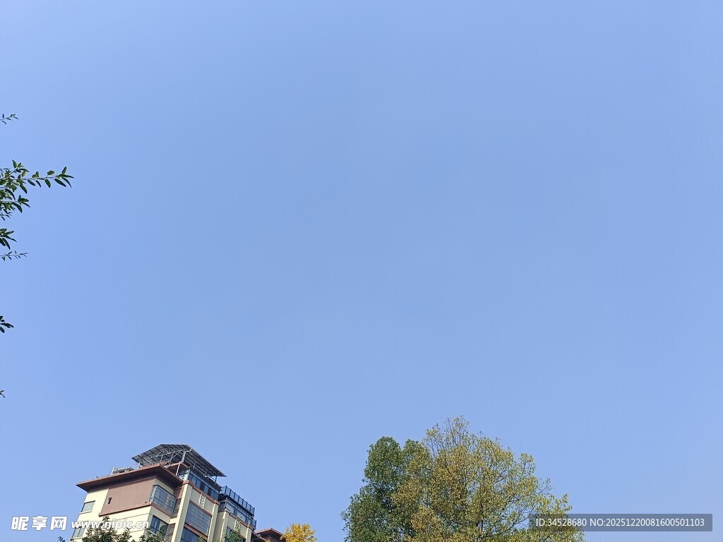 蓝天绿树旁的古朴建筑