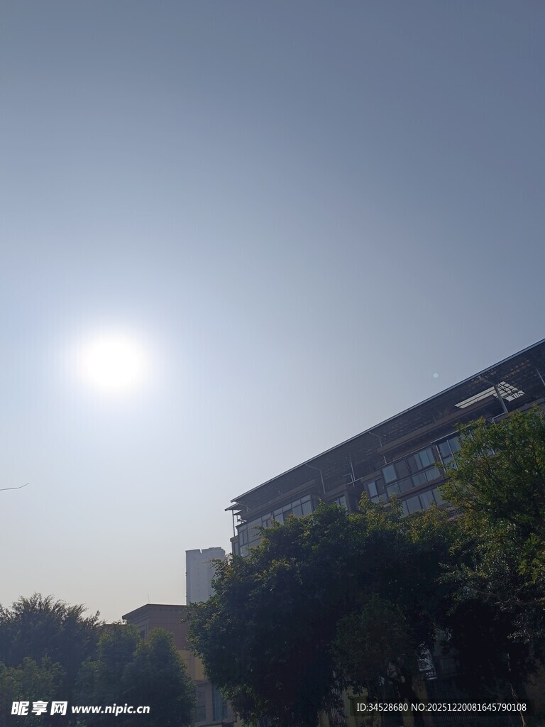 阳光下的建筑与绿植