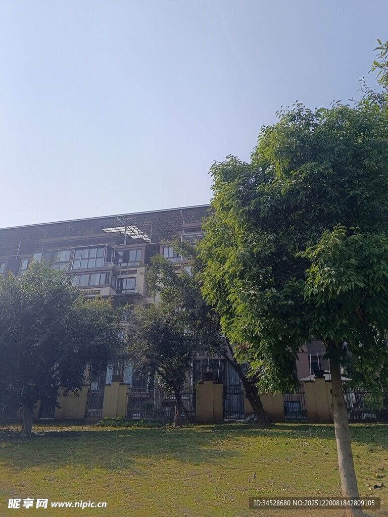 校园建筑旁的绿树与草地