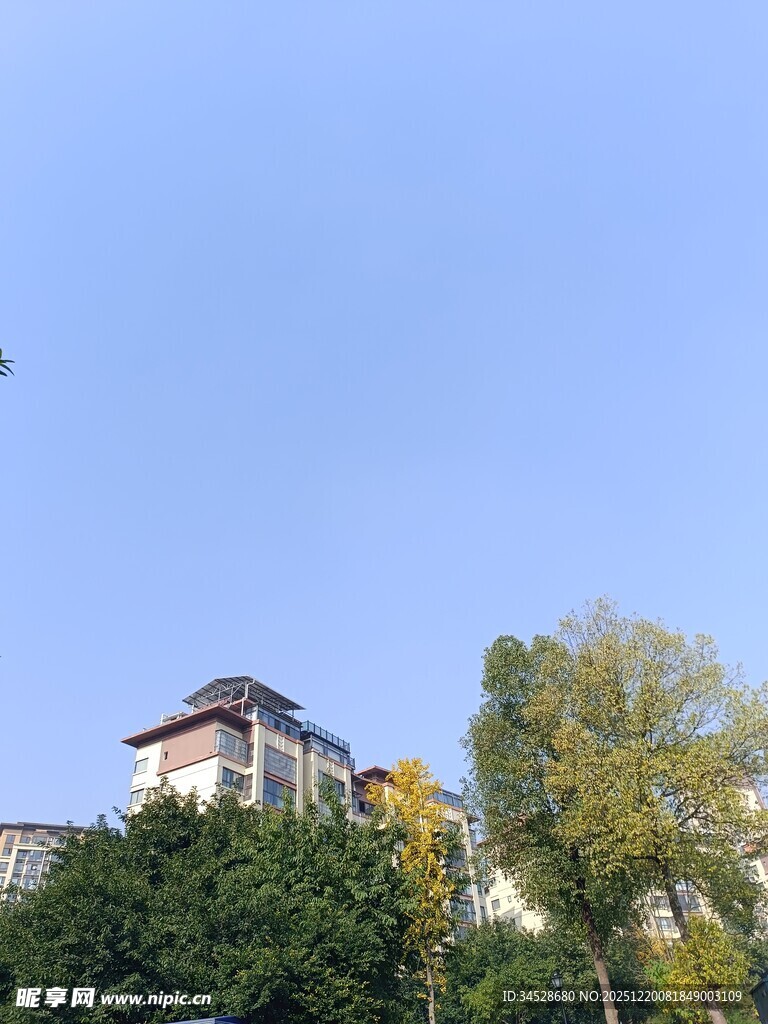 绿树掩映中的中式建筑