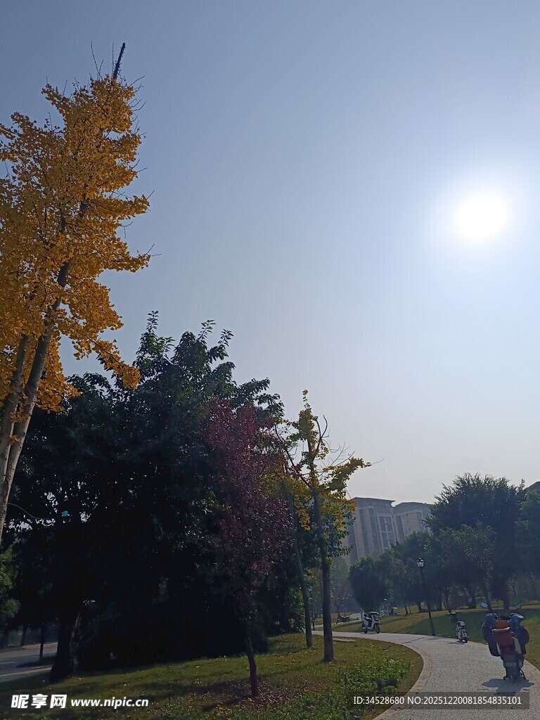 秋日公园漫步景象