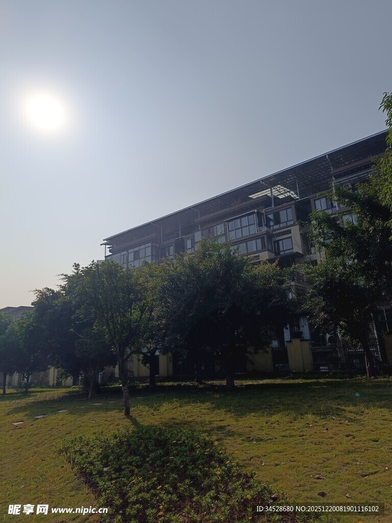 阳光下的校园建筑景观