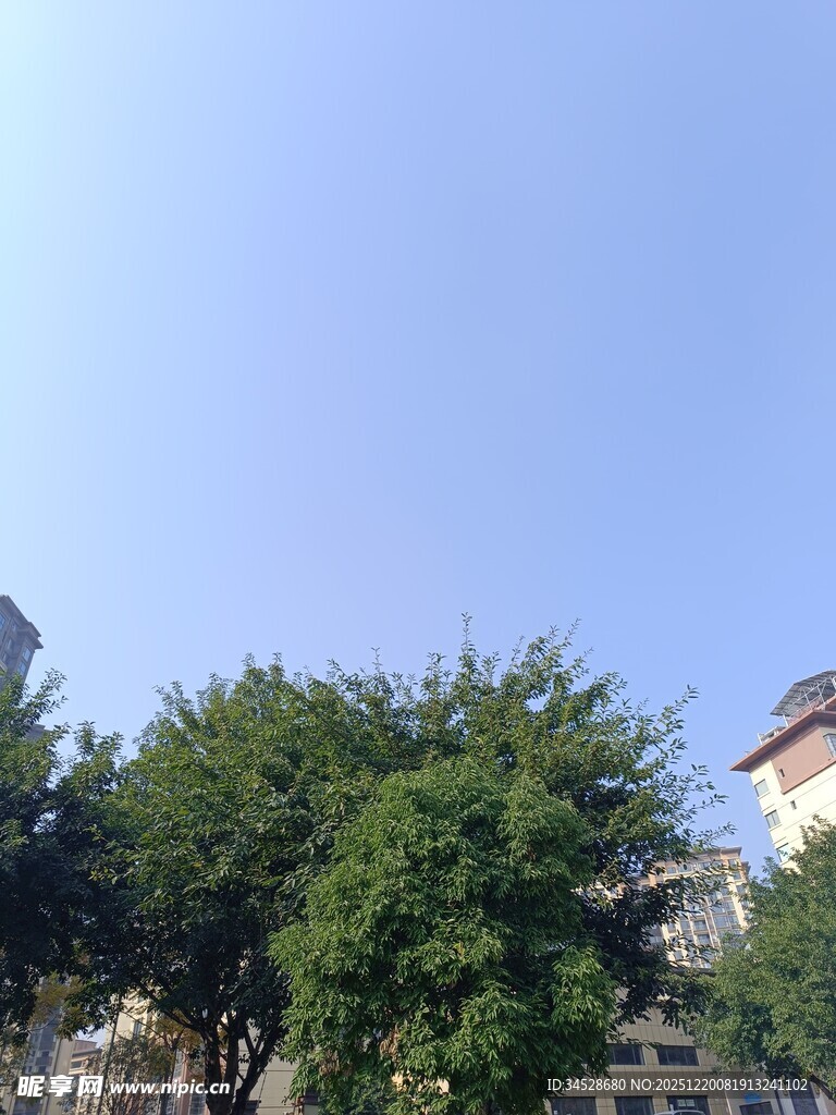 蓝天绿树旁的建筑一角