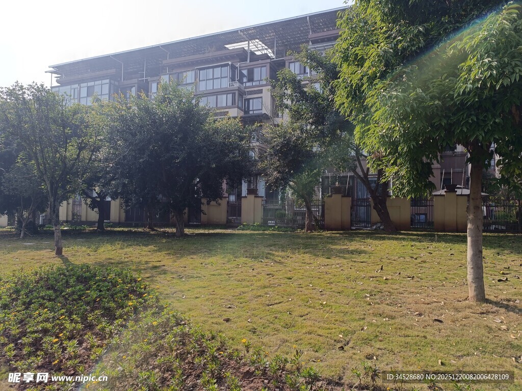 宁静校园绿化景观