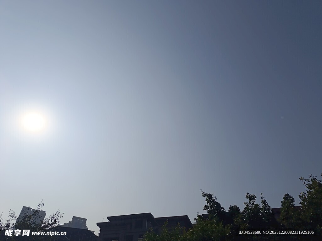 晴朗天空下的阳光与树梢