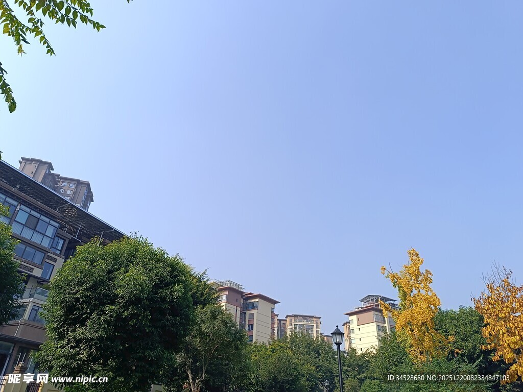 秋日小区旁的绿树与建筑