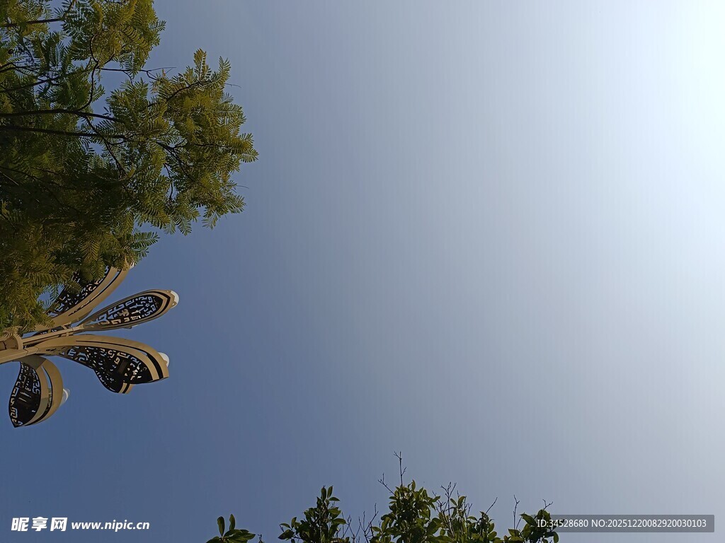 飞鸟于蓝天绿树间翱翔