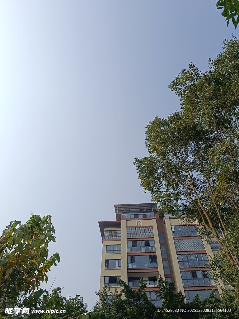 绿树环绕的多层居民楼