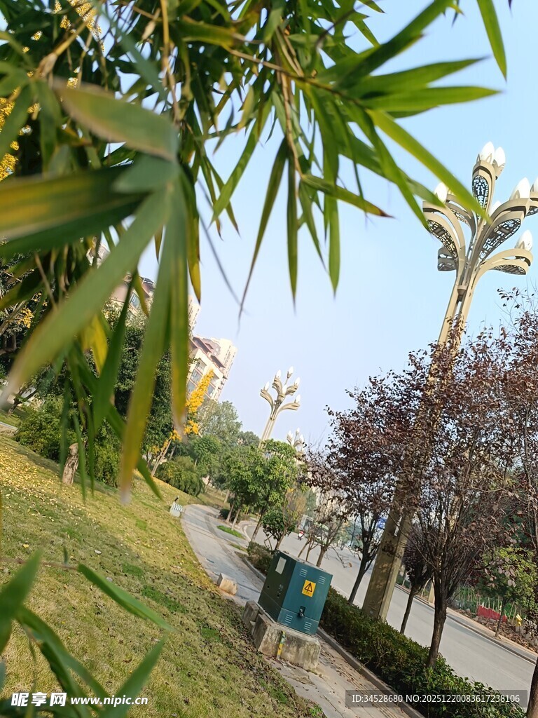 户外绿植环绕的开阔景致