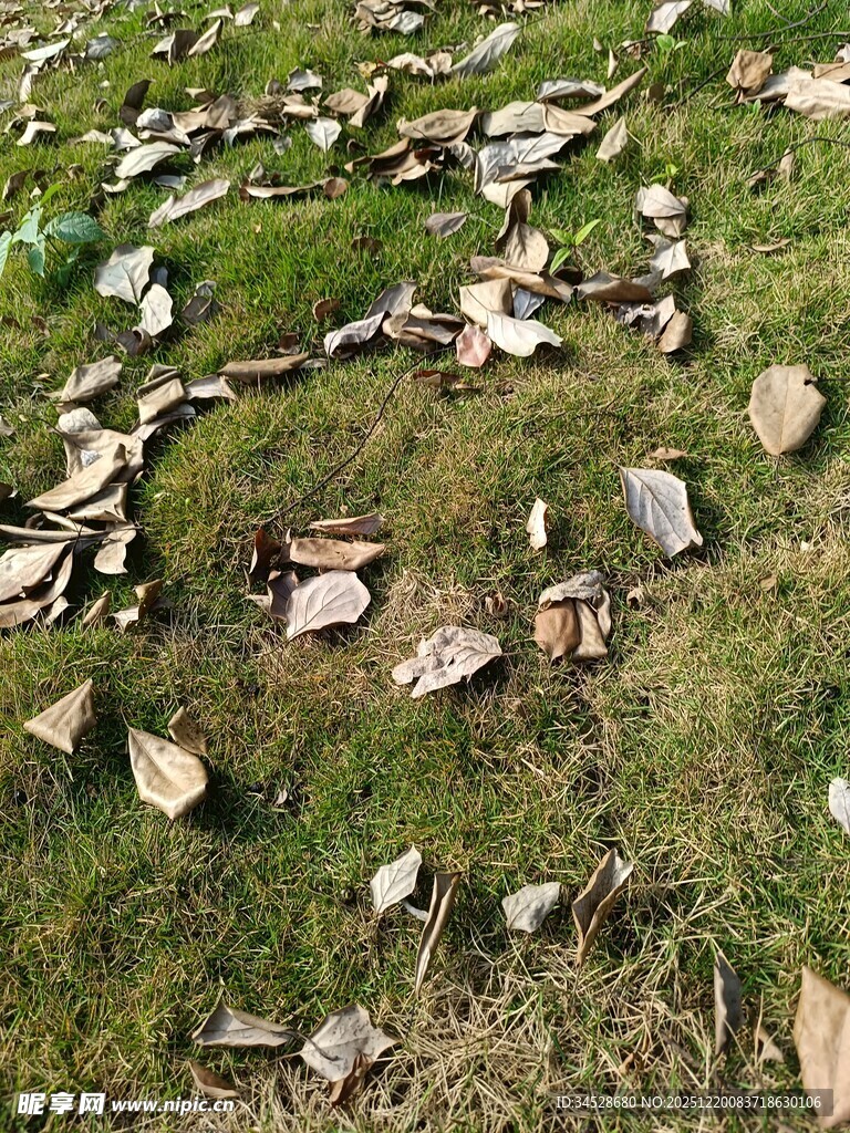 草地上散落的破碎瓦片