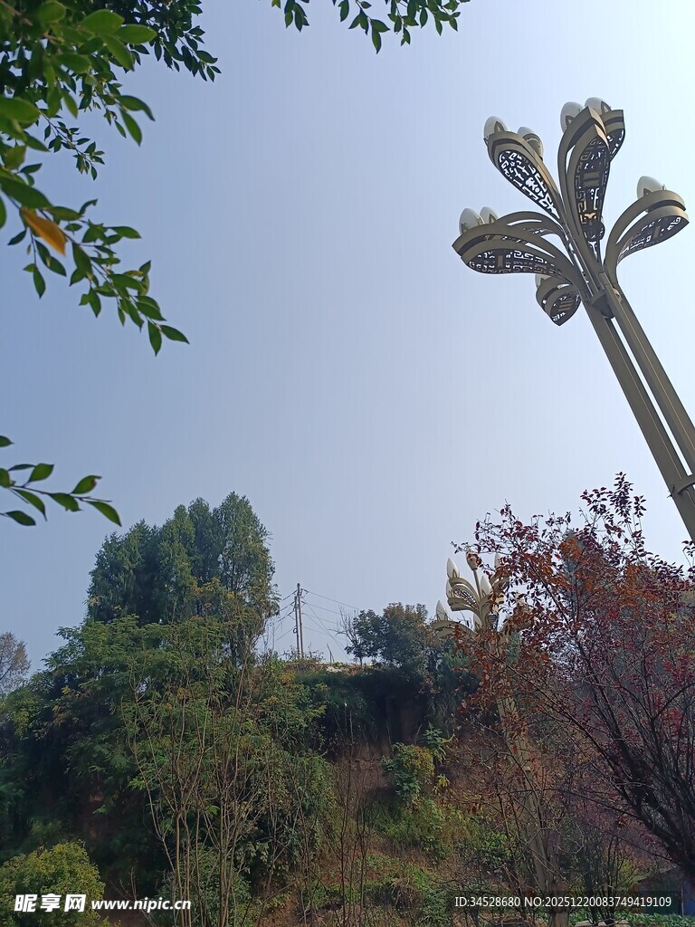 公园中的独特雕塑景观