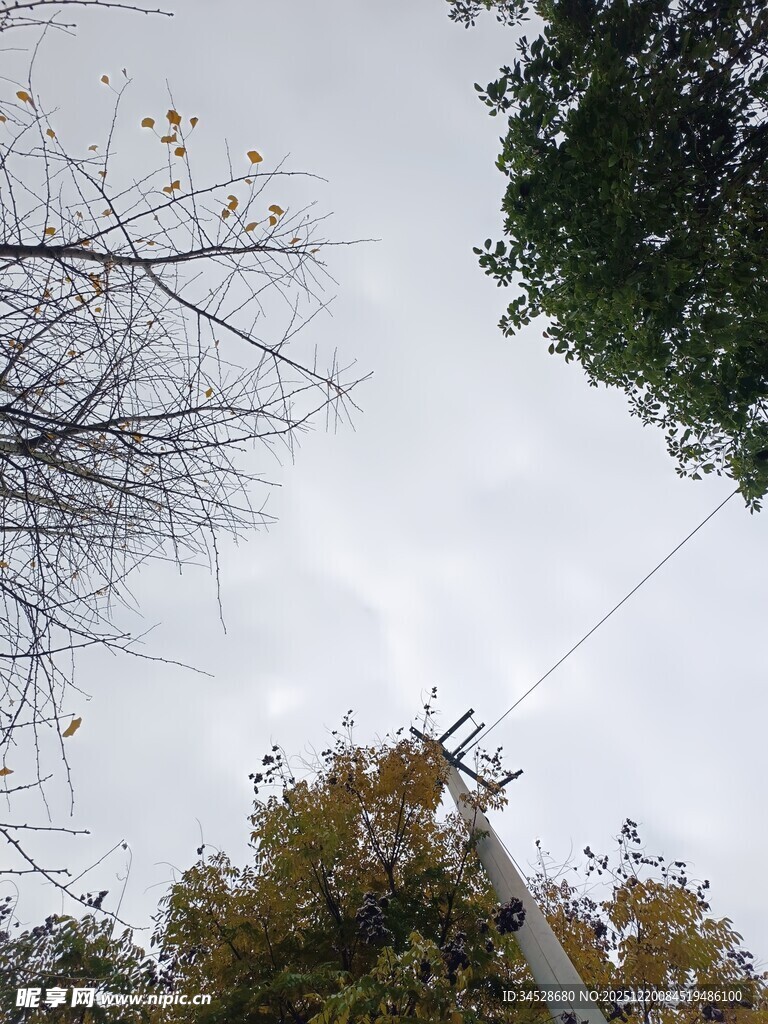 高空作业的电力工人