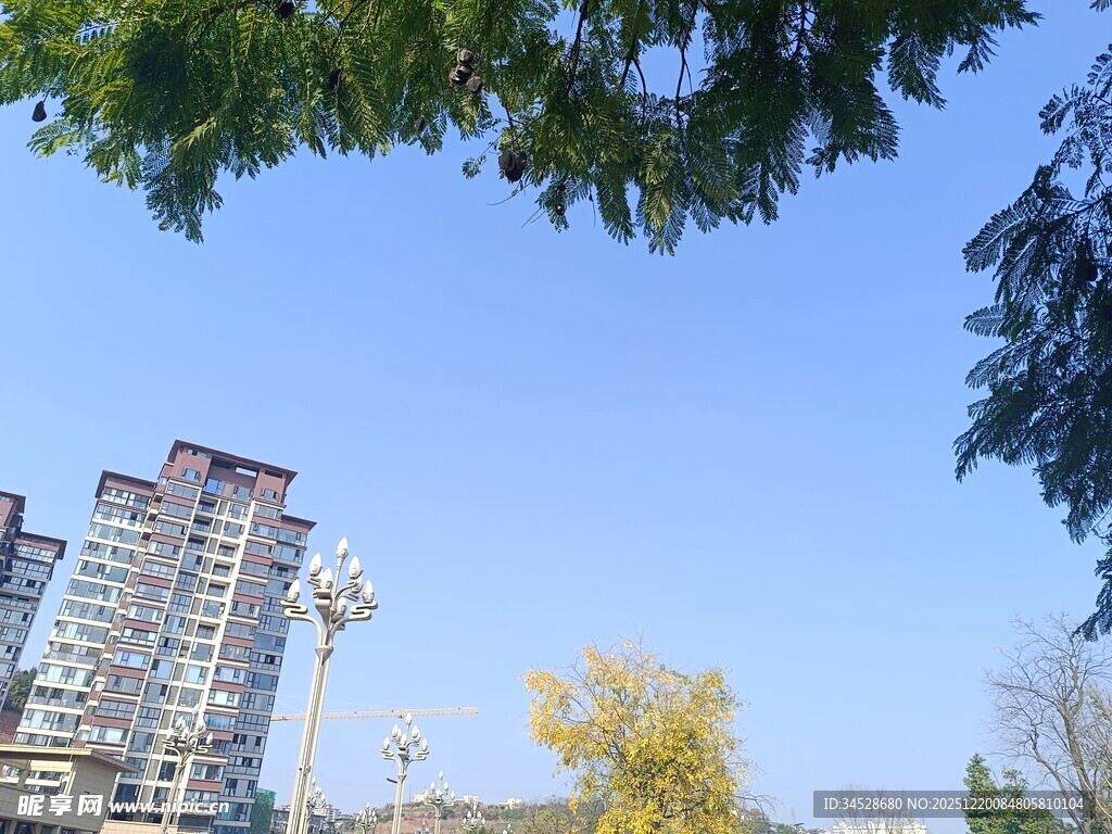 城市高楼与绿树蓝天