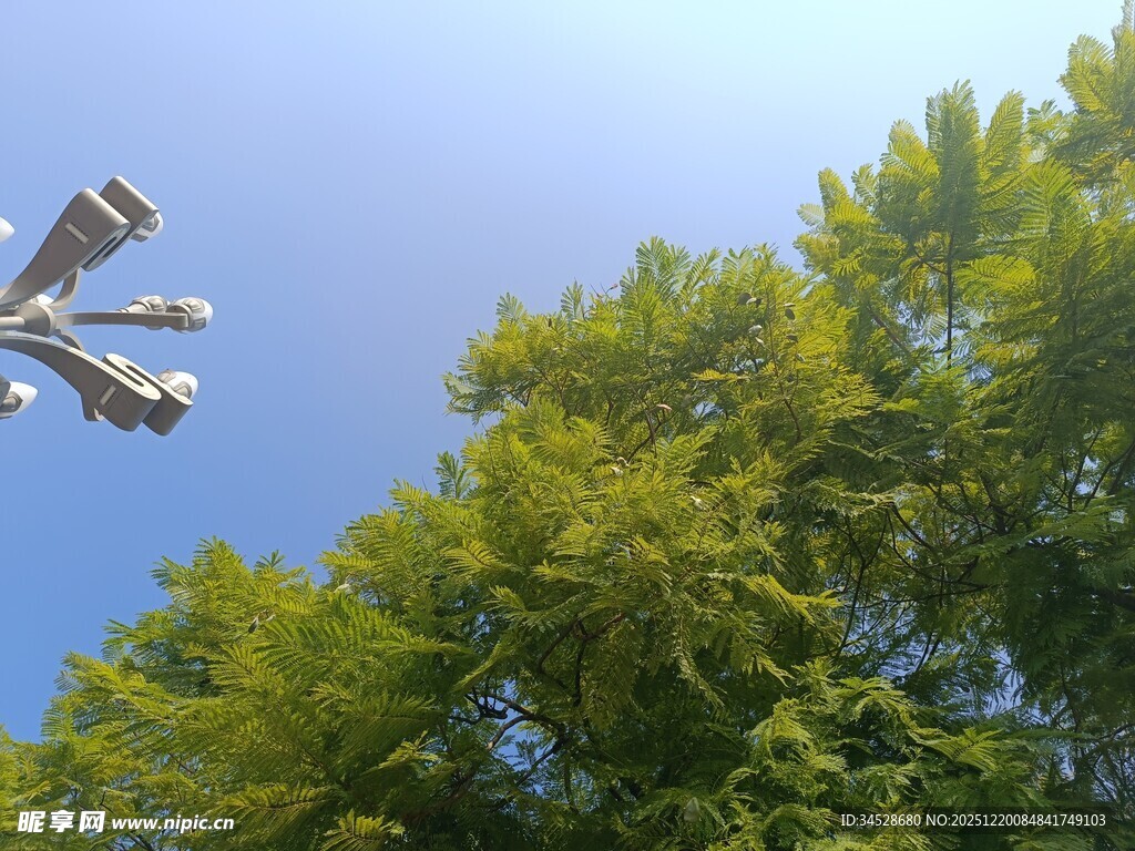 蓝天绿树间的雕塑