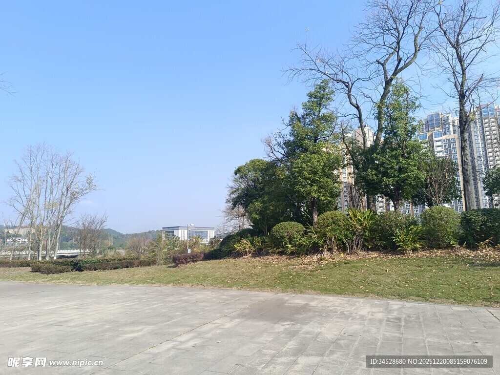 户外空旷场地与树木景观