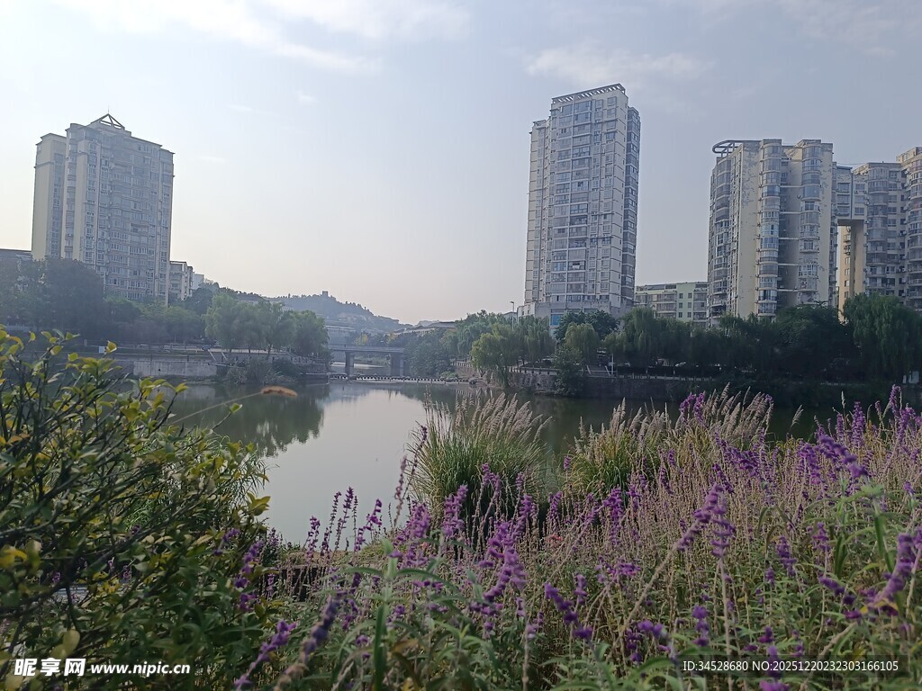 河畔繁花与林立高楼