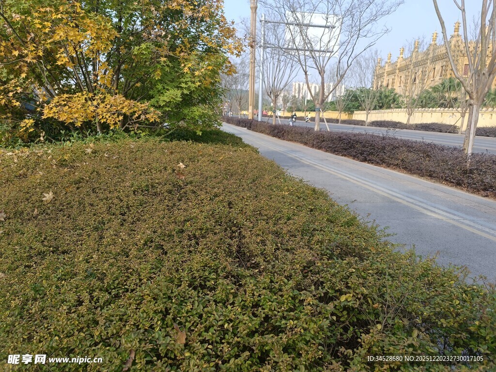 城市绿化带景观