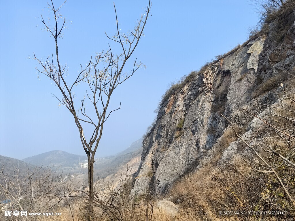 山间枯树与嶙峋岩壁