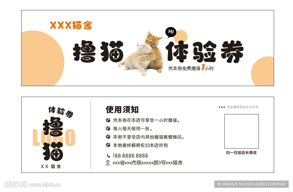 撸猫 猫舍宠物店代金券