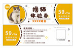 猫咪宠物体验券 代金券