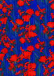 红蓝抽象纹理图案