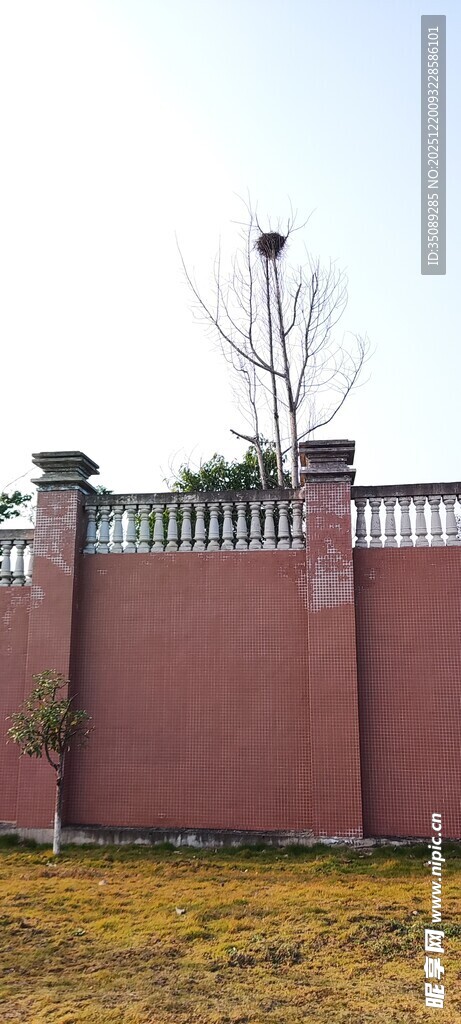 红砖围墙与绿植景观