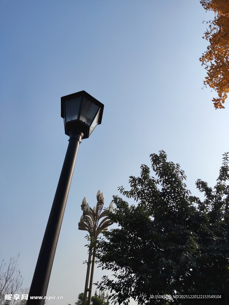 户外路灯与树木景观