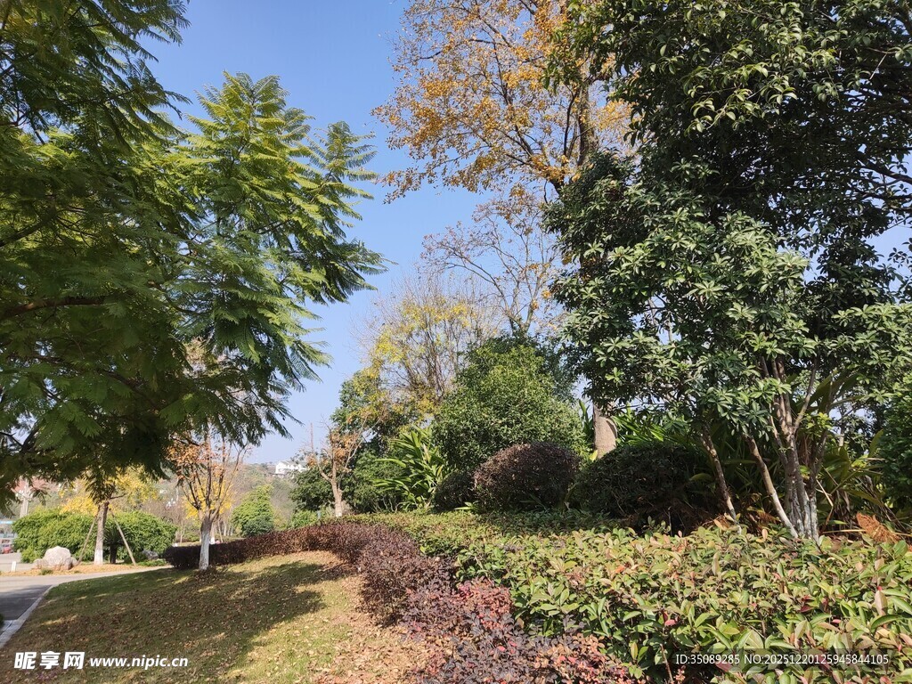 秋日林间小径美景