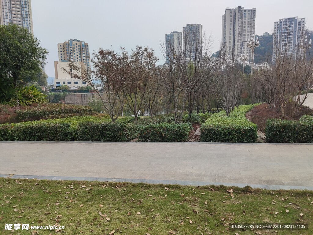 城市公园中的开阔景观