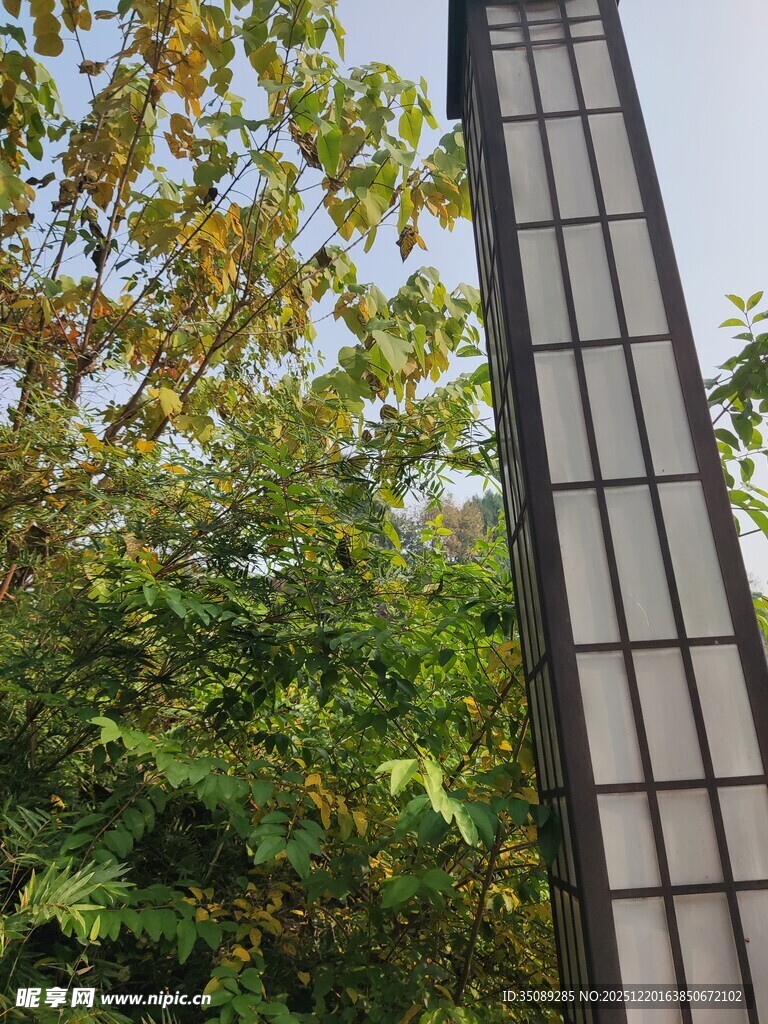 高耸建筑旁的葱郁绿植