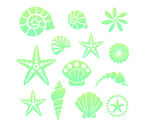 海星与贝壳图案