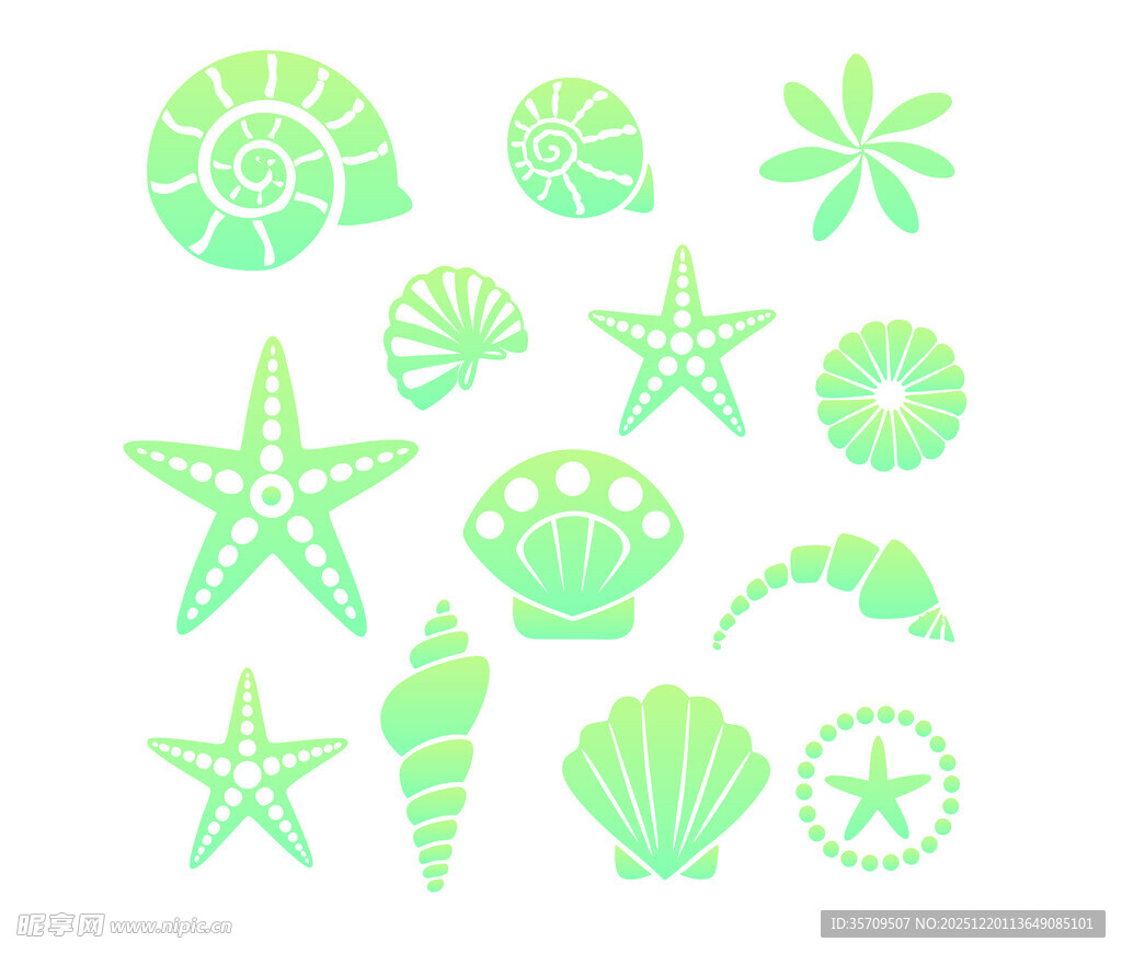 海星与贝壳图案