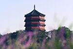 湖畔紫花簇拥的古朴宝塔