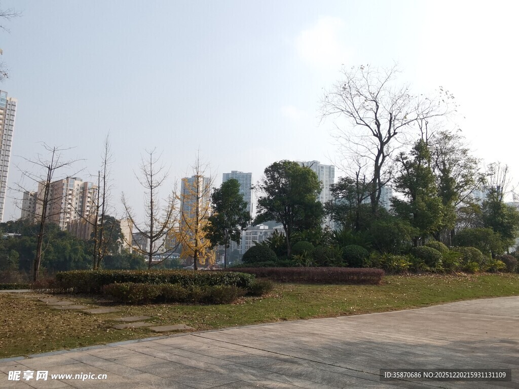 城市公园景观一角