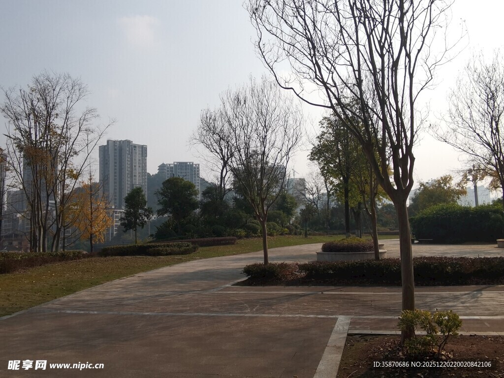 城市公园冬日空旷场景