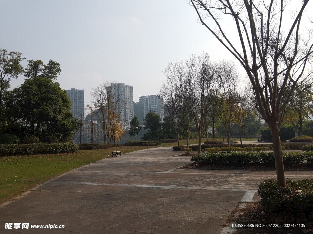 城市公园中的宁静小路