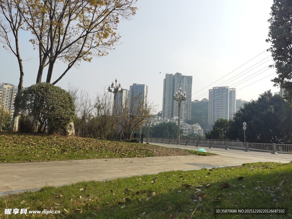 城市公园中的开阔景致