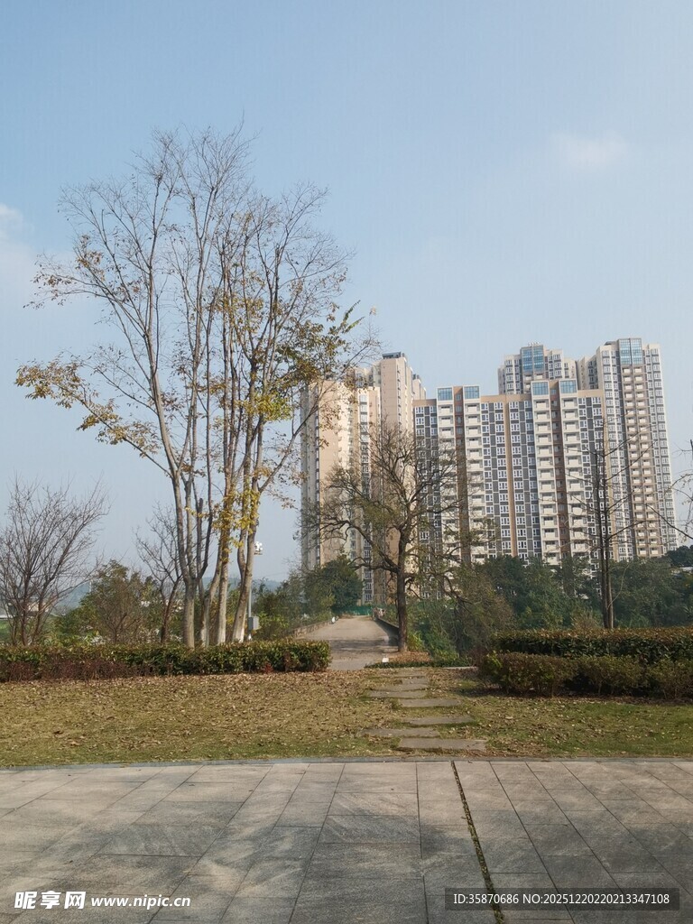 城市边缘的开阔景致