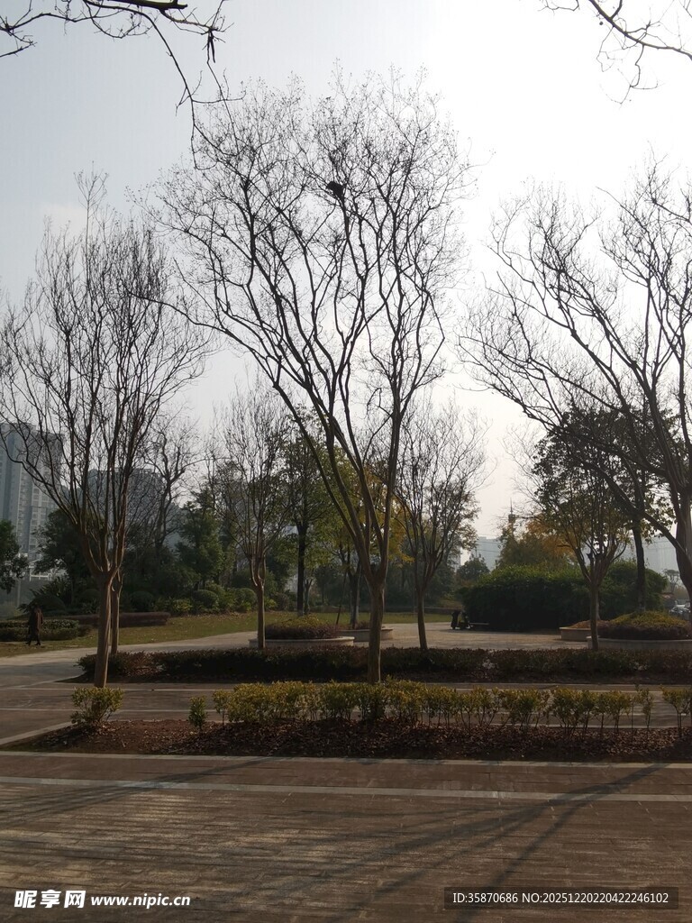 冬日公园空旷景致