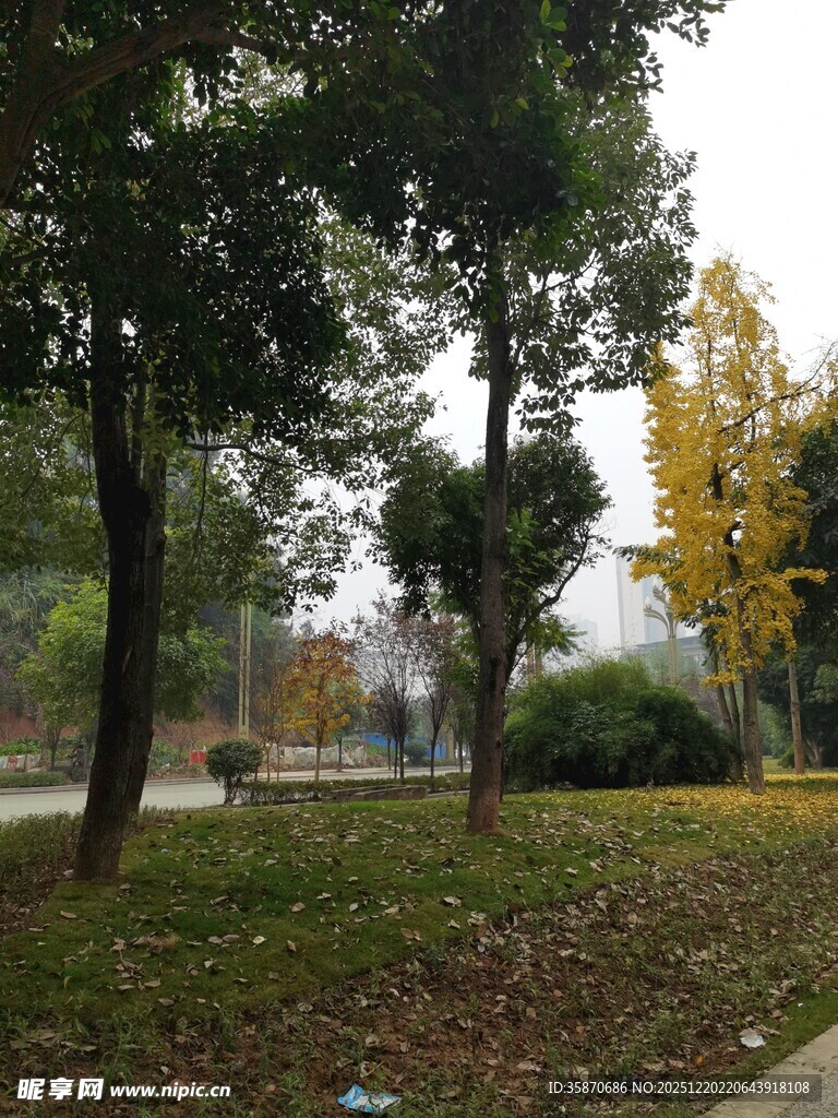 秋日公园静谧景致