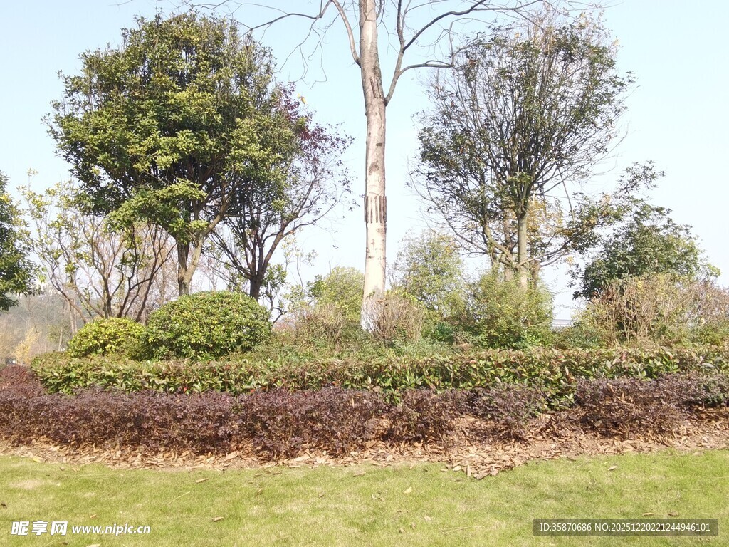 户外绿植景观
