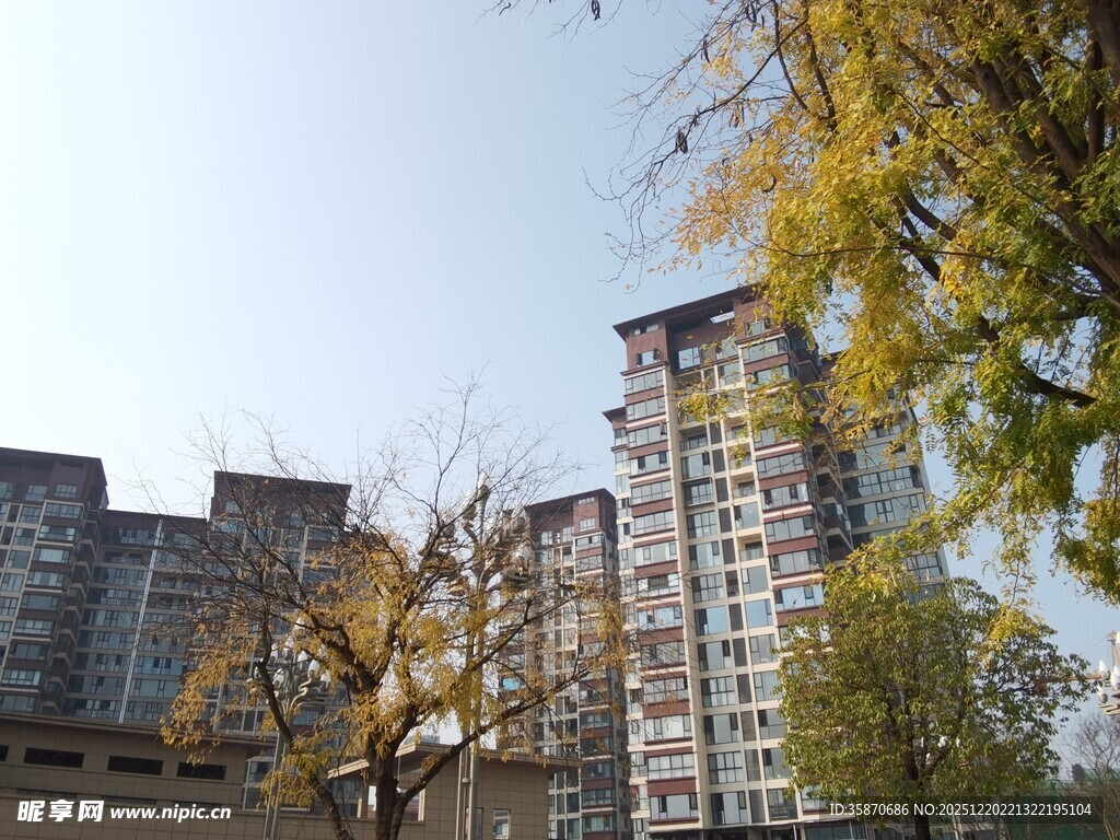 秋日小区旁的树木与建筑