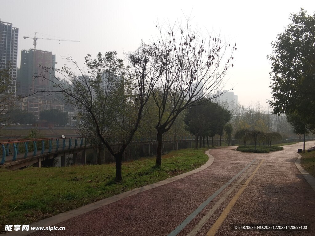 雾中公园小道风景