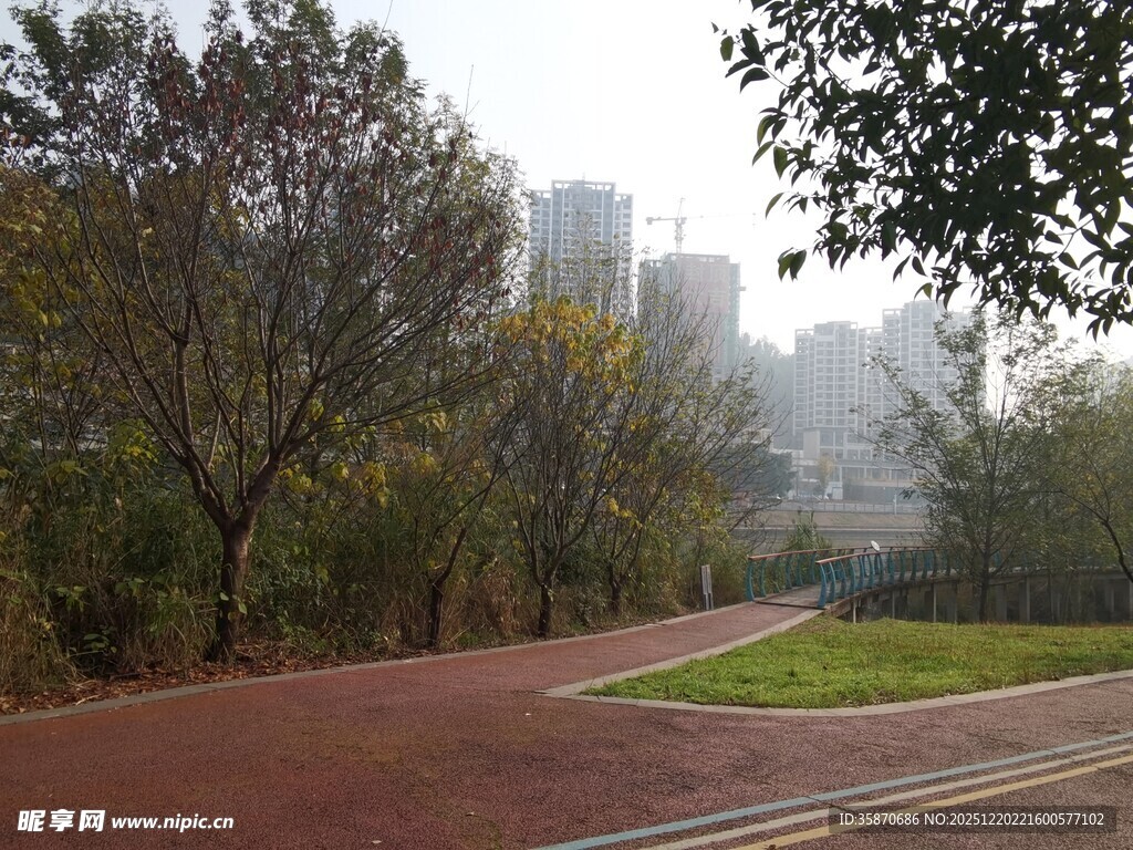 城市林间的静谧跑道