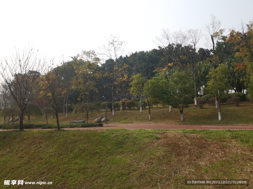 秋日郊野公园景色