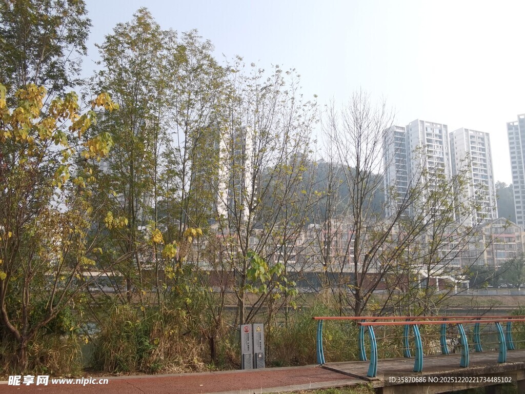 城市河畔绿树与高楼景致