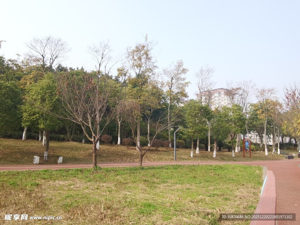 公园中的开阔草地与步道