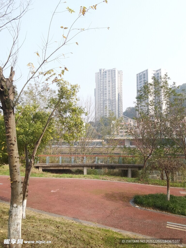 城市公园中的步道景观