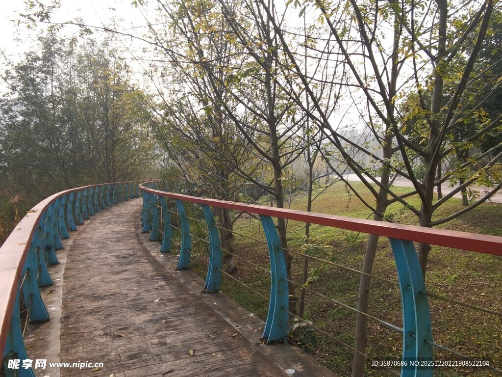 林间彩色栏杆步道