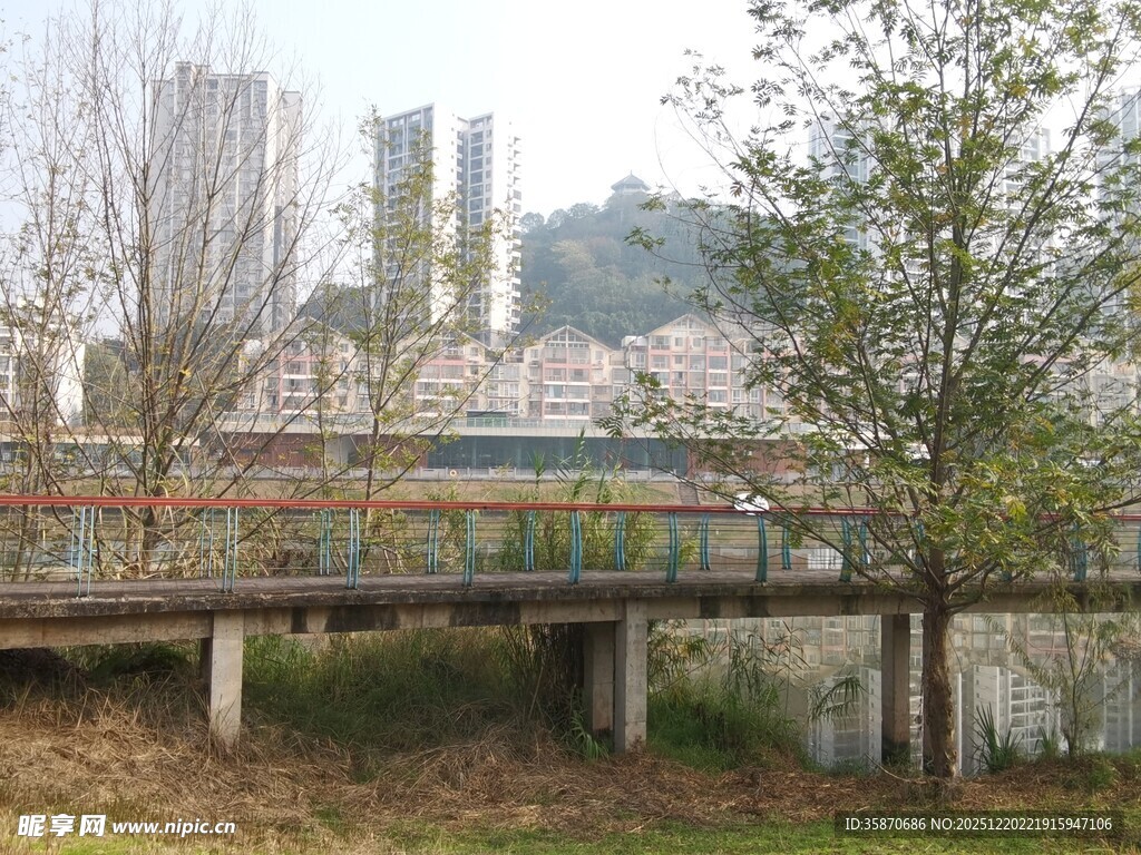 城市河畔桥梁与绿树景观